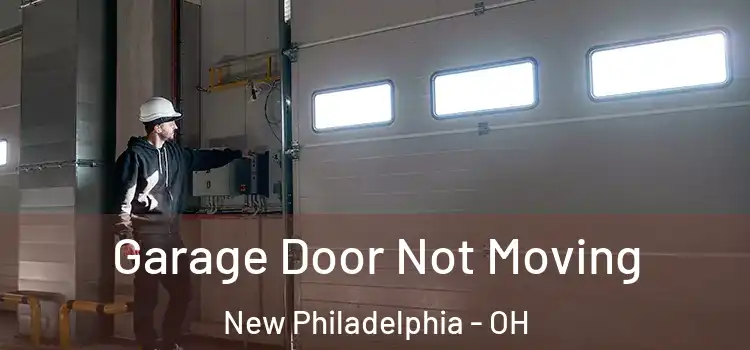  Garage Door Not Moving New Philadelphia - OH