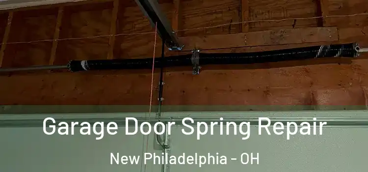  Garage Door Spring Repair New Philadelphia - OH