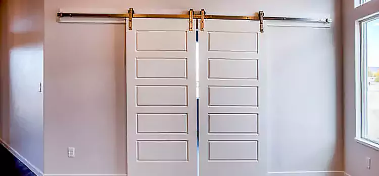 Glass Barn Door with Installation Hardware Kit New Philadelphia