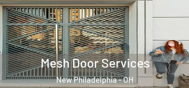 Mesh Door Services New Philadelphia - OH